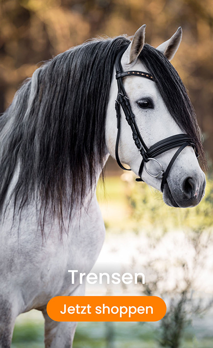 Reitunterwäsche im Test: Derrière Equestrian - Blog - Inspiration -  epplejeck-de