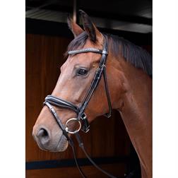 2024 Reitpad Harry horse schwarz